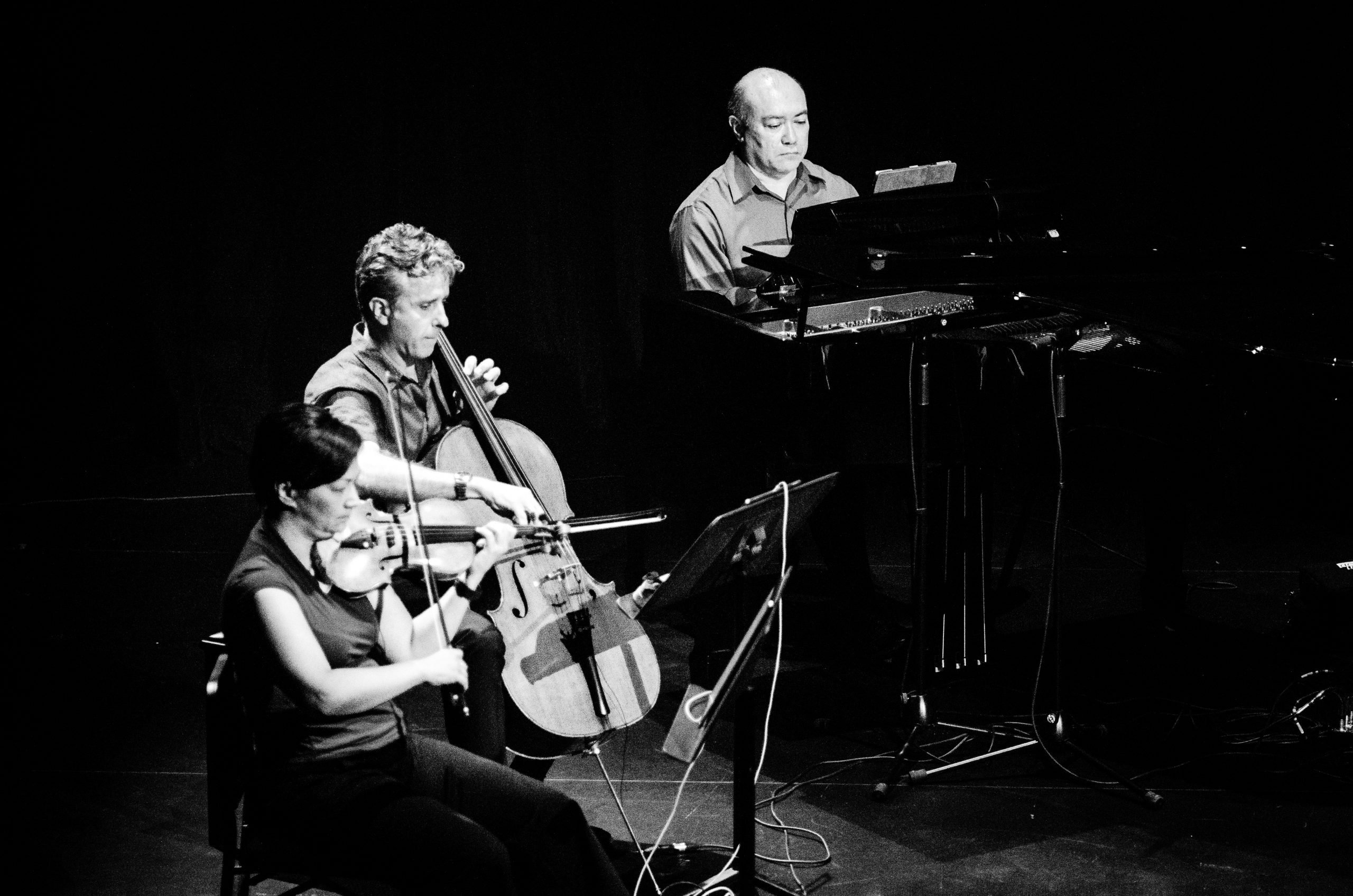 Gryphon Trio © James Whittall